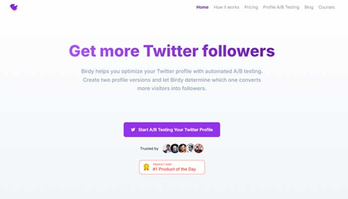 Birdy